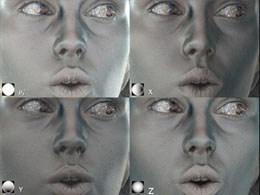 Four images of the specular reflection